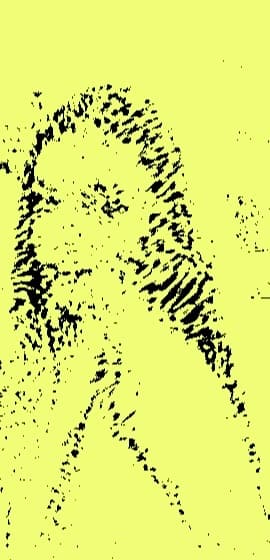 JOY OF REPETITION